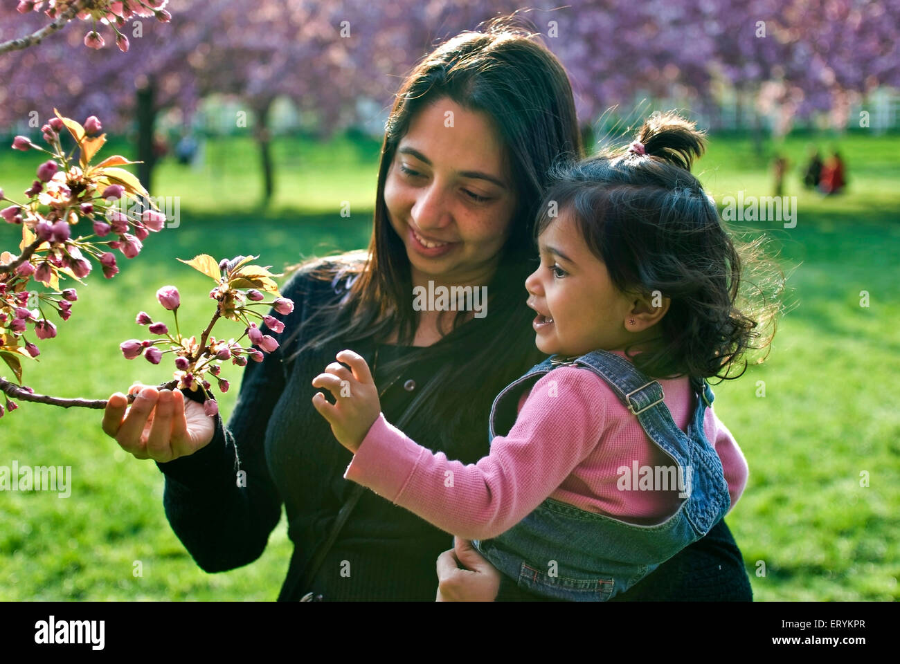 Mutter und Tochter, die Knospen der Kirschbaum im Botanischen Garten zu beobachten; Brooklyn; New York; USA Vereinigte Staaten von Amerika Stockfoto