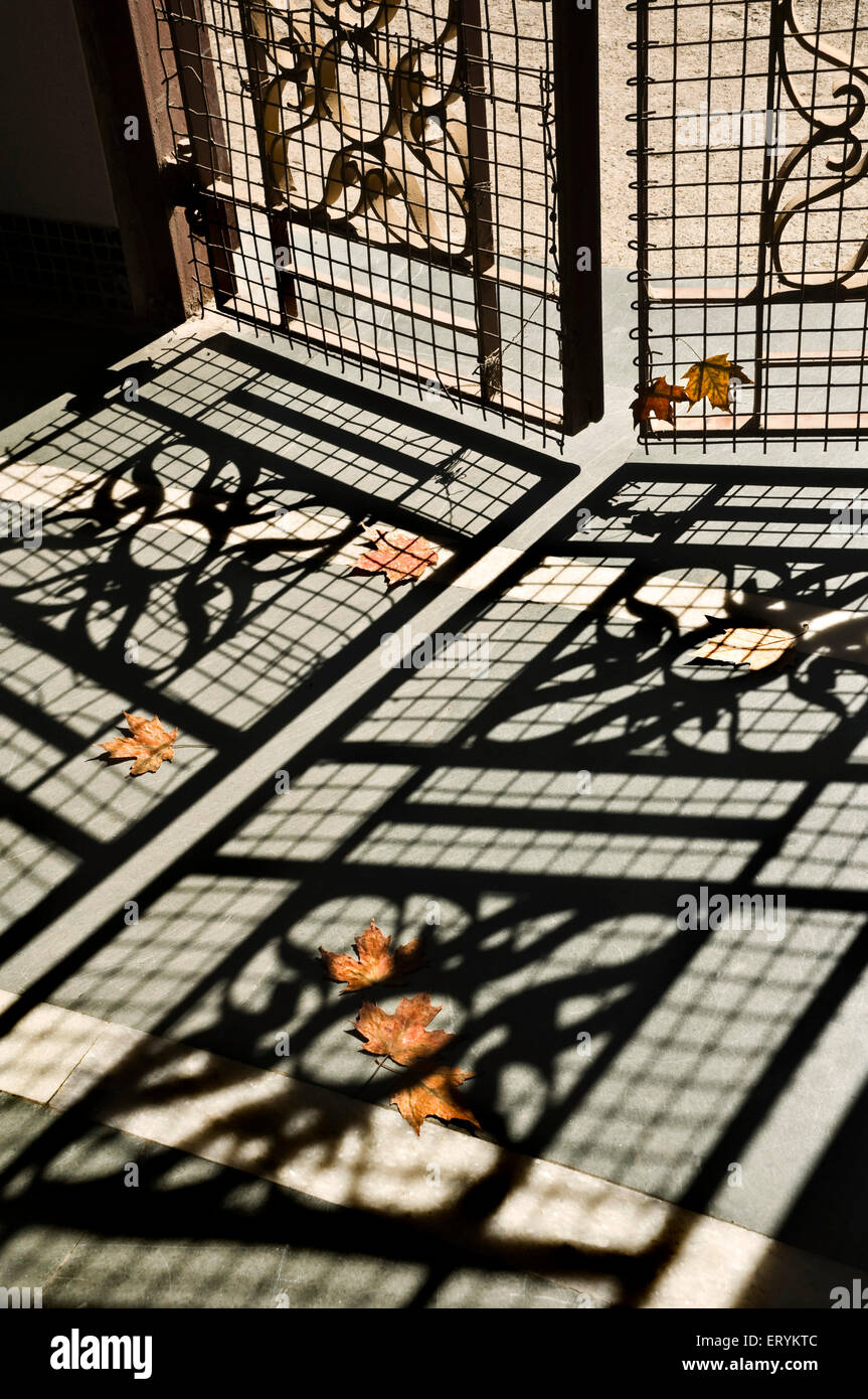 Getrocknete trockene Ahornblätter verdorrt und liegen auf dem Boden in Schattenmuster des Torgrills, Stockfoto