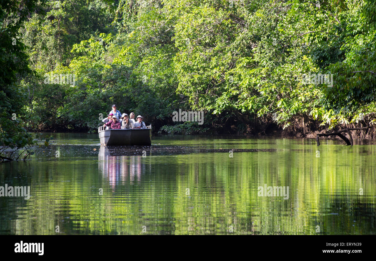 Touristenboot auf dem Daintree River, Queensland, Australien Stockfoto