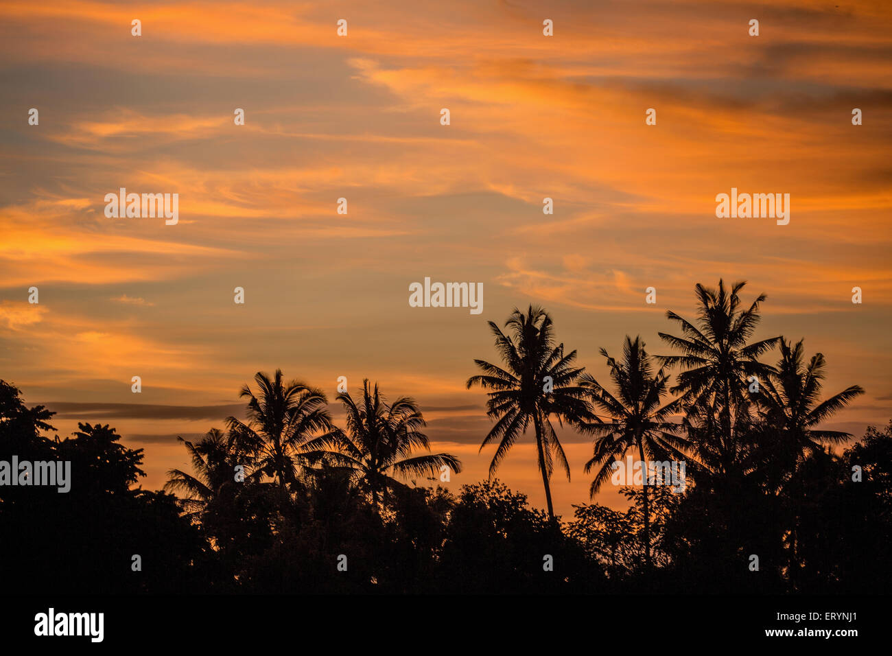 Erstellen einer gelben und orangefarbenen Skyline Sonnenuntergang Stockfoto