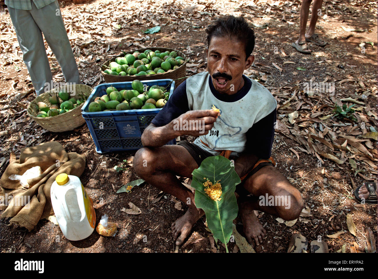 Arbeiter im Blatt am Ortsteil Ratnagiri Velas Snacks zu essen; Maharashtra; Indien 26. April 2009 Stockfoto