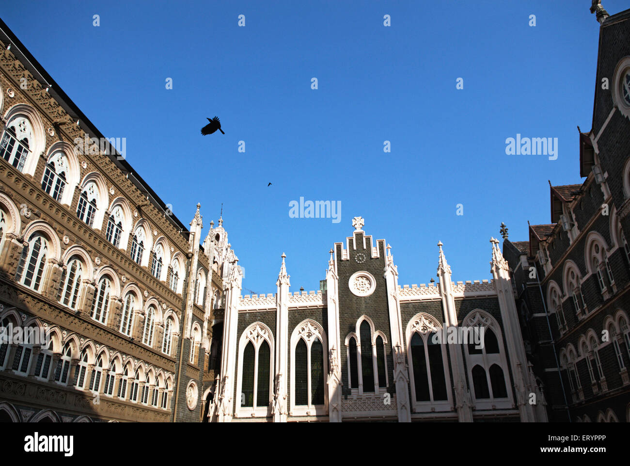 St. Xavier's College, alte Architektur, Bombay, Mumbai; Maharashtra; Indien, asien Stockfoto