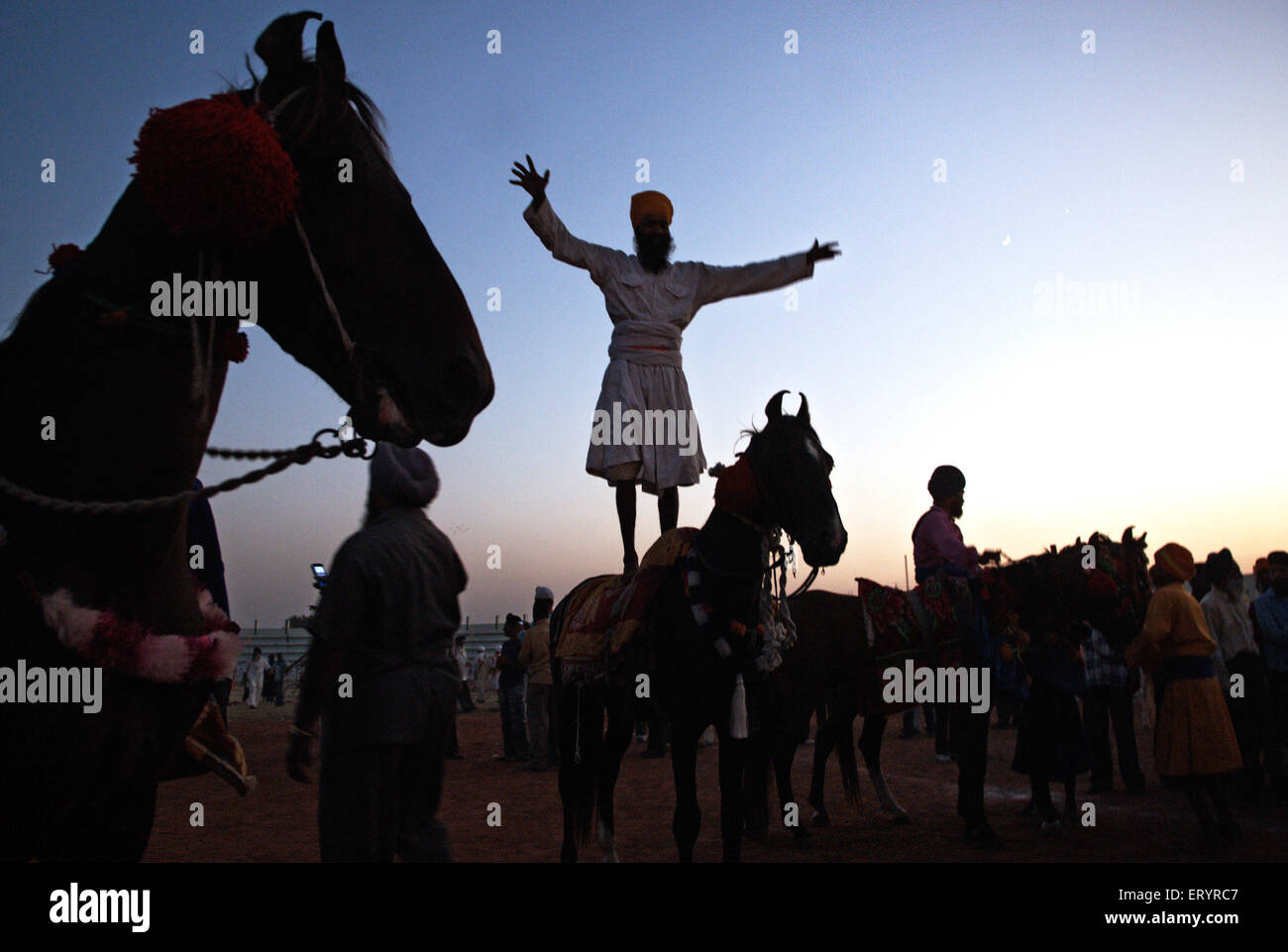 Nihang Sikh Krieger Stunts in der Feier der Weihe des Sikh Guru Granth Sahib durchführen; Nanded Stockfoto