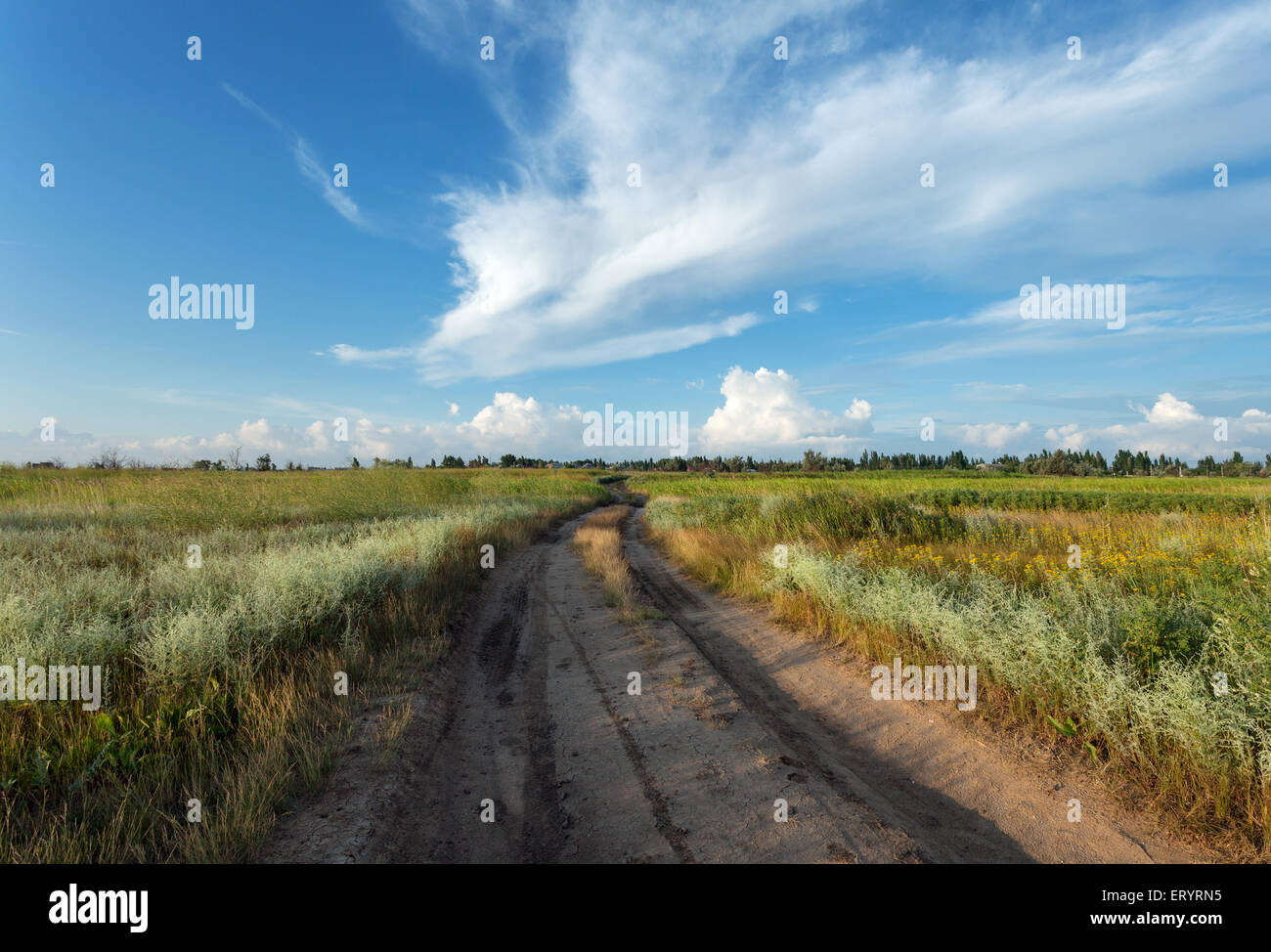 Schöner Sonnenuntergang. Sommerlandschaft mit blauer Himmel, Wolken und Straße im Feld in der Ukraine Stockfoto