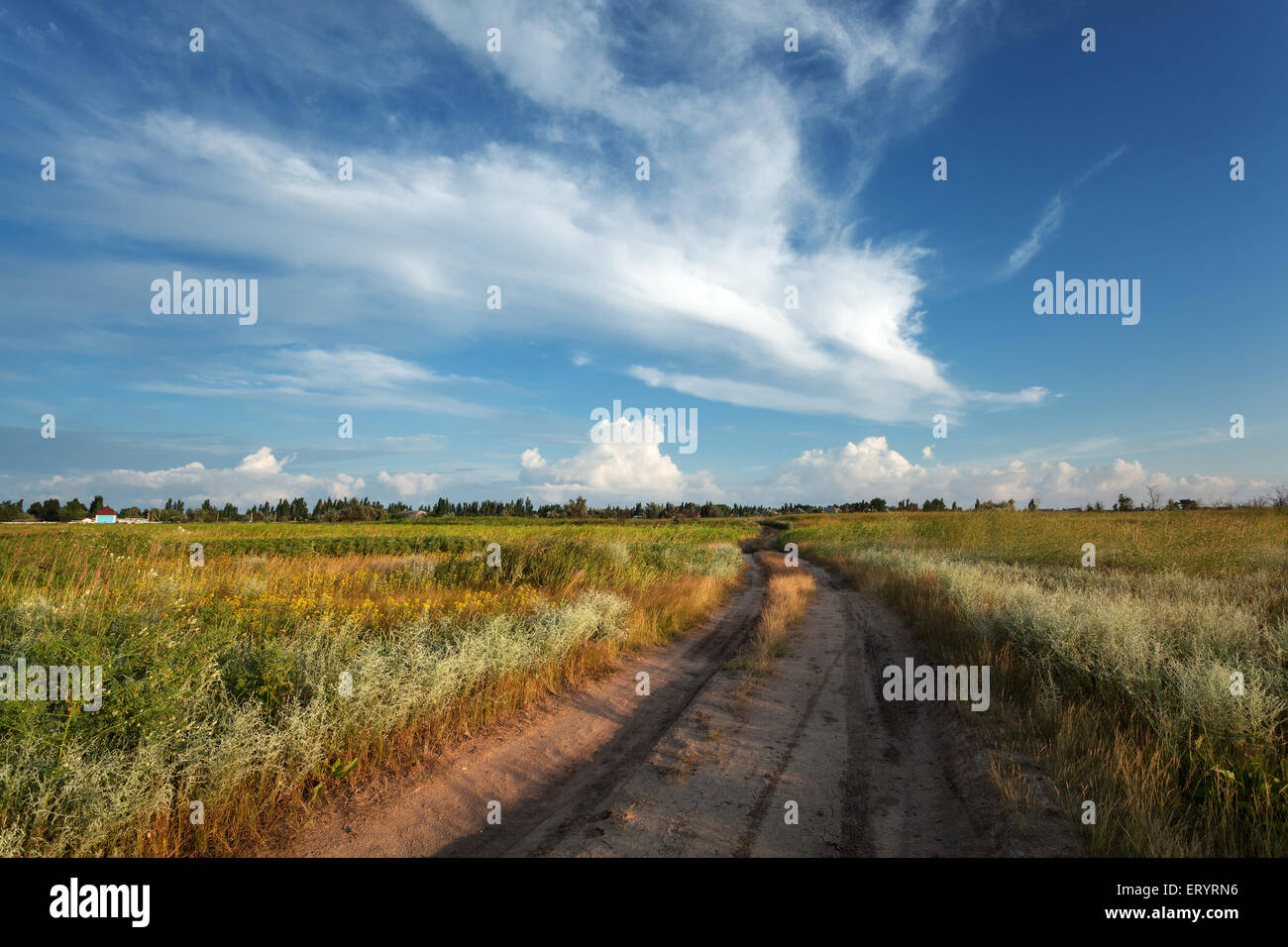 Schöner Sonnenuntergang. Sommerlandschaft mit blauer Himmel, Wolken und Straße im Feld in der Ukraine Stockfoto