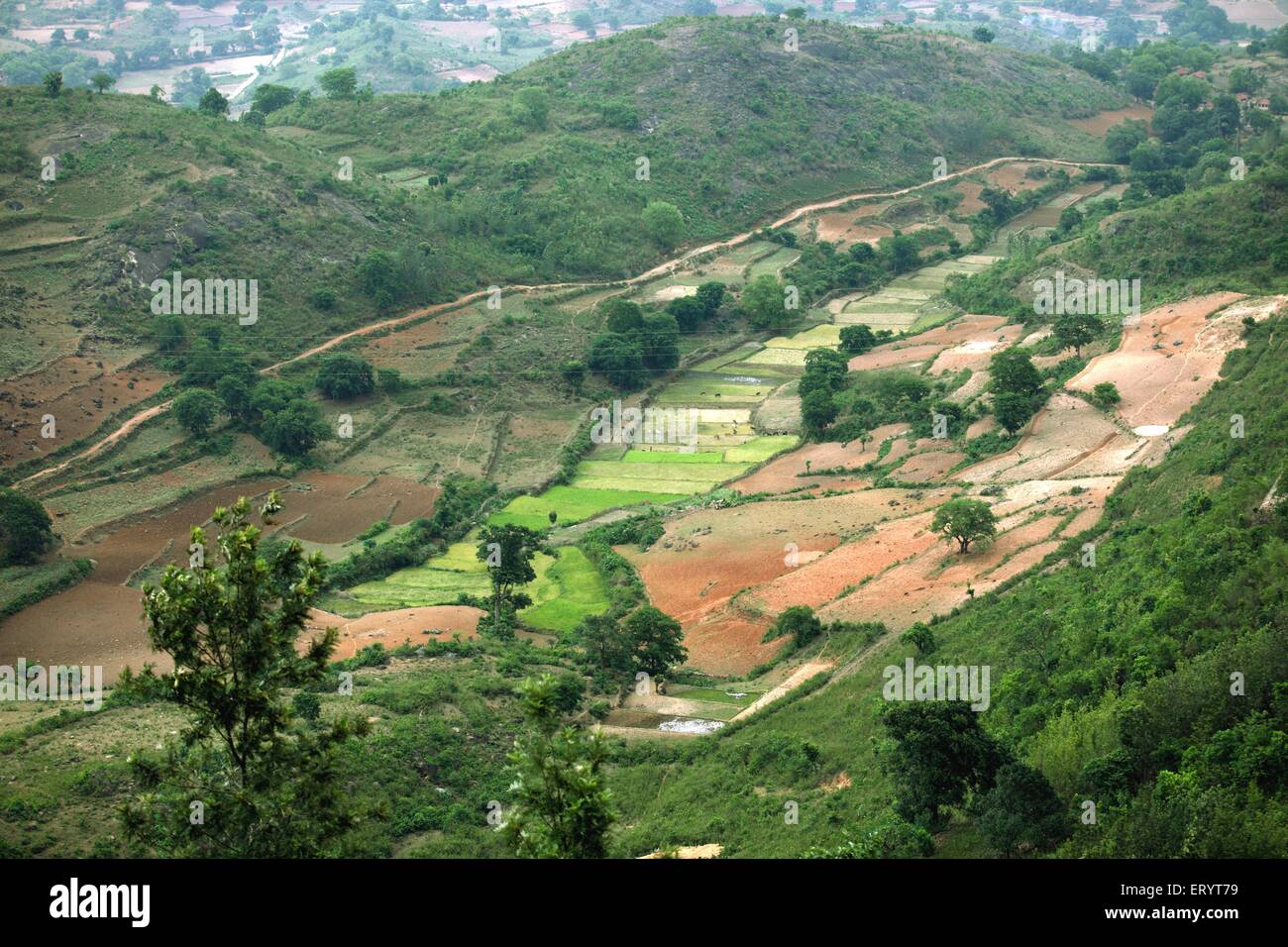 Araku Valley, Hill Station, Eastern Ghats, Visakhapatnam, Andhra Pradesh, Indien, Asien Stockfoto