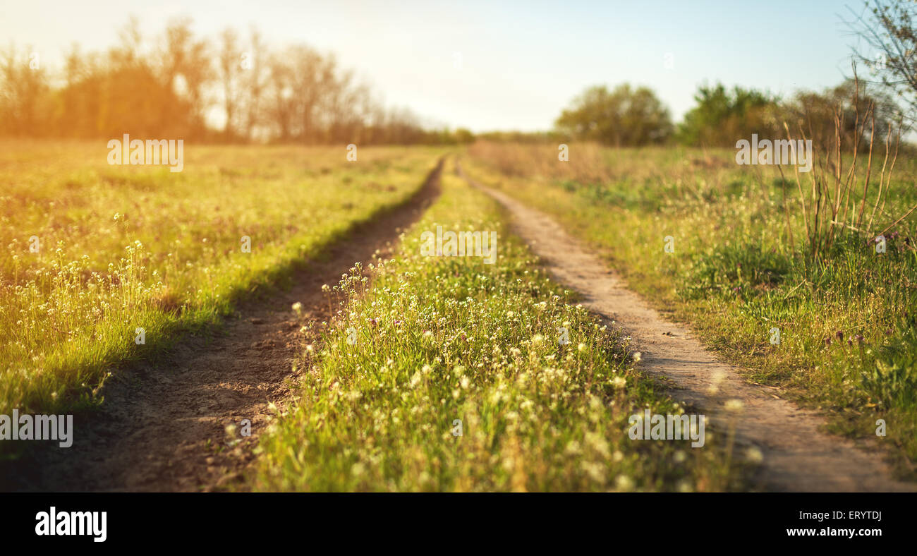 Schöner Sonnenuntergang. Frühlingslandschaft mit Trail, Bäume, blauer Himmel und Wolken in der Ukraine Stockfoto