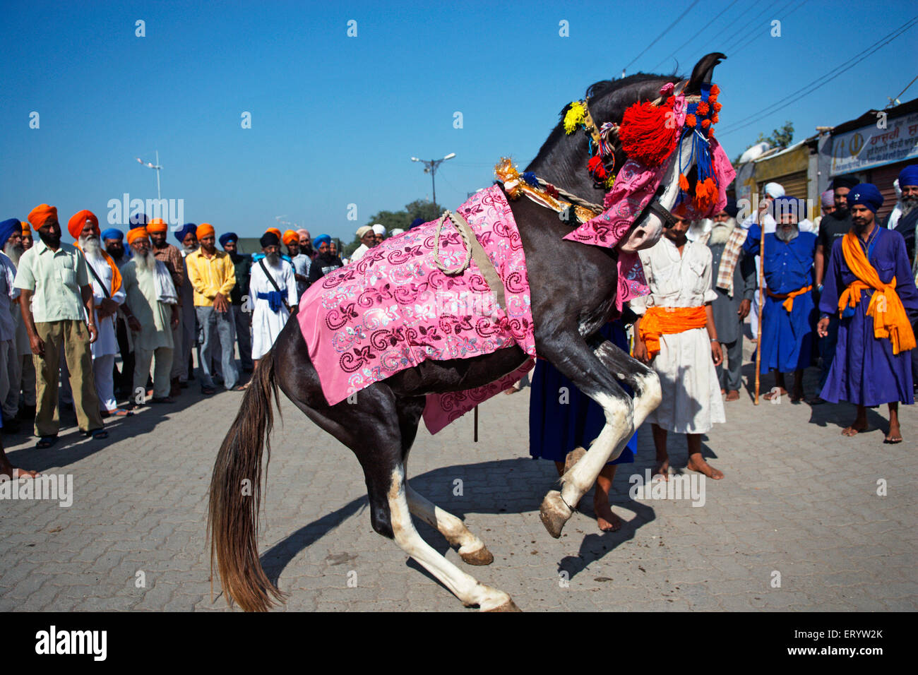 Nihang oder Sikh Krieger zeigt Pferd Tanz Maharashtra; Indien NOMR Stockfoto
