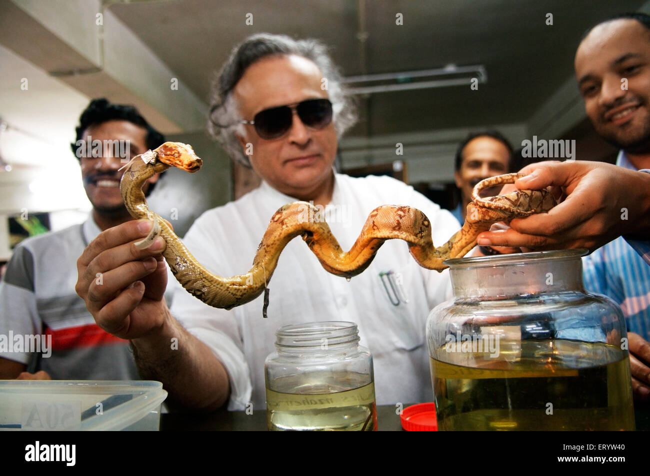 Jairam Ramesh, indischer Wirtschaftswissenschaftler und Politiker inspiziert Schlange in Bombay Natural History Society, Colaba, Bombay, Mumbai, Maharashtra, Indien, Stockfoto