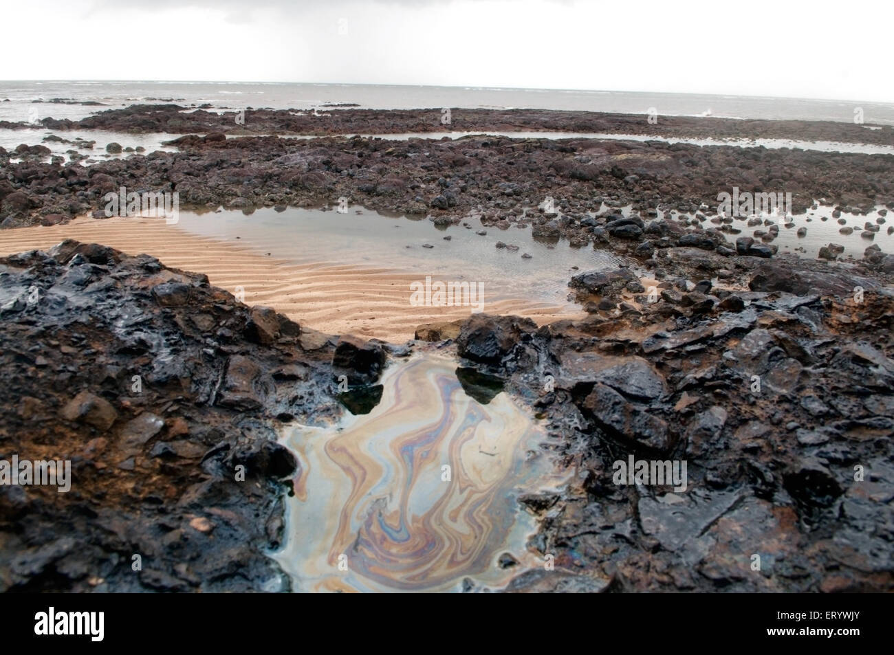 Ölpest Schäden Verschmutzung, Elephanta Island, Bombay, Mumbai, Maharashtra, Indien, Asien Stockfoto