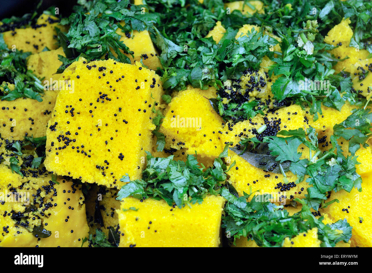 Khaman Dhokla Gramm Mehl gemacht; Bhuj; Kutch; Gujarat; Indien Stockfoto