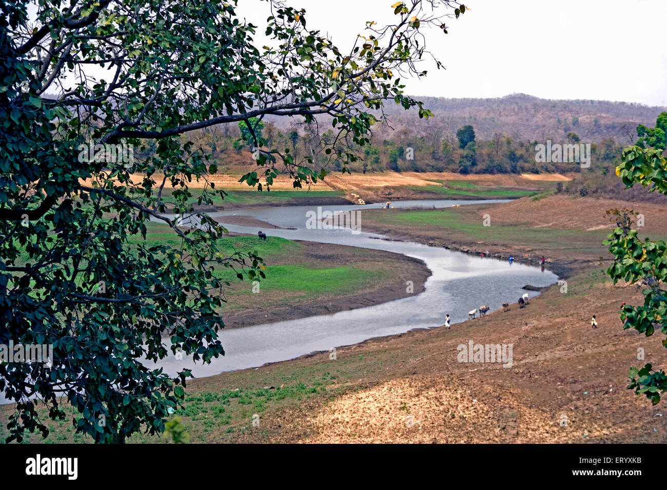 River Narmada, Mahakal Hills, Madhya Pradesh, Indien, Asien Stockfoto