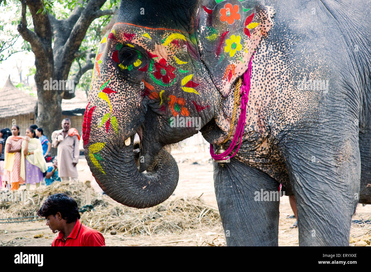 Elefant bemalt dekoriert zum Verkauf, Sonepur Cattle Fair, Sonepur Mela, Harihar Kshetra Mela, Sonpur, Saran District, Bihar, Indien, Asien Stockfoto
