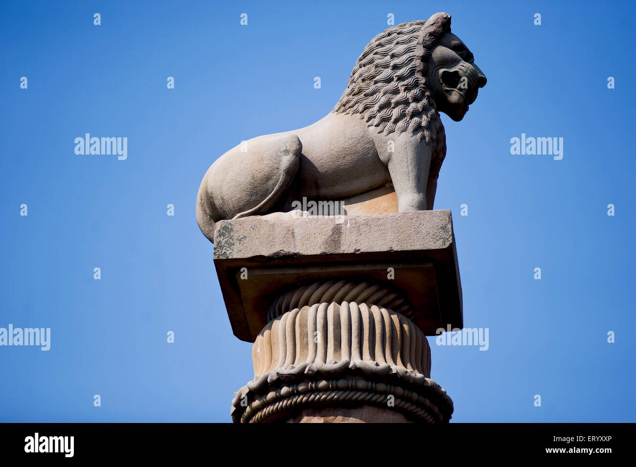 Ashoka Lion Säule, Vaishali, Bihar, Indien Stockfoto