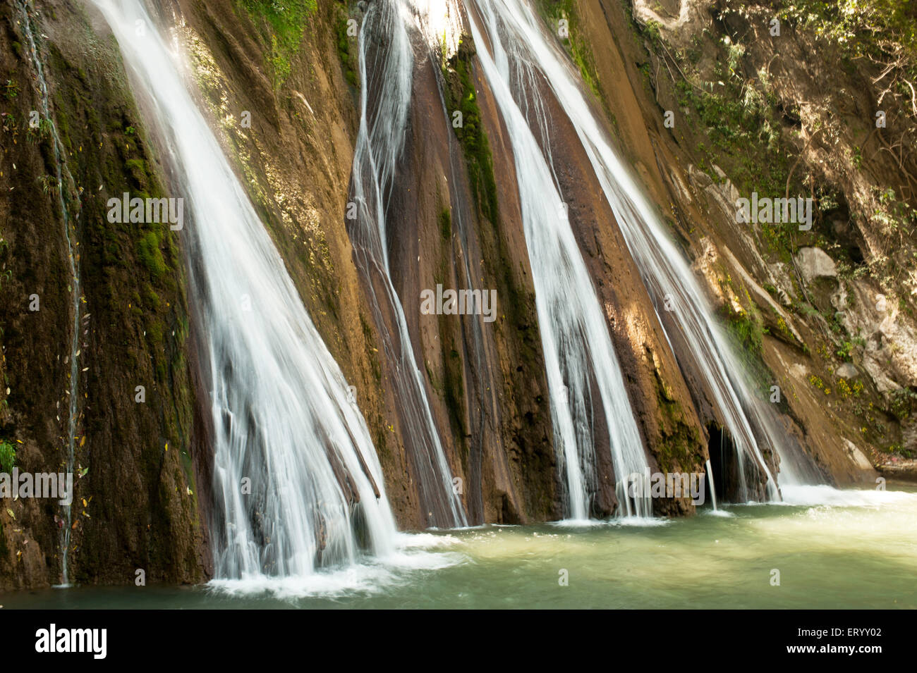 Kempty Falls, Kempti Falls, Mussoorie, Uttaranchal, Uttarakhand, Indien, asien Stockfoto