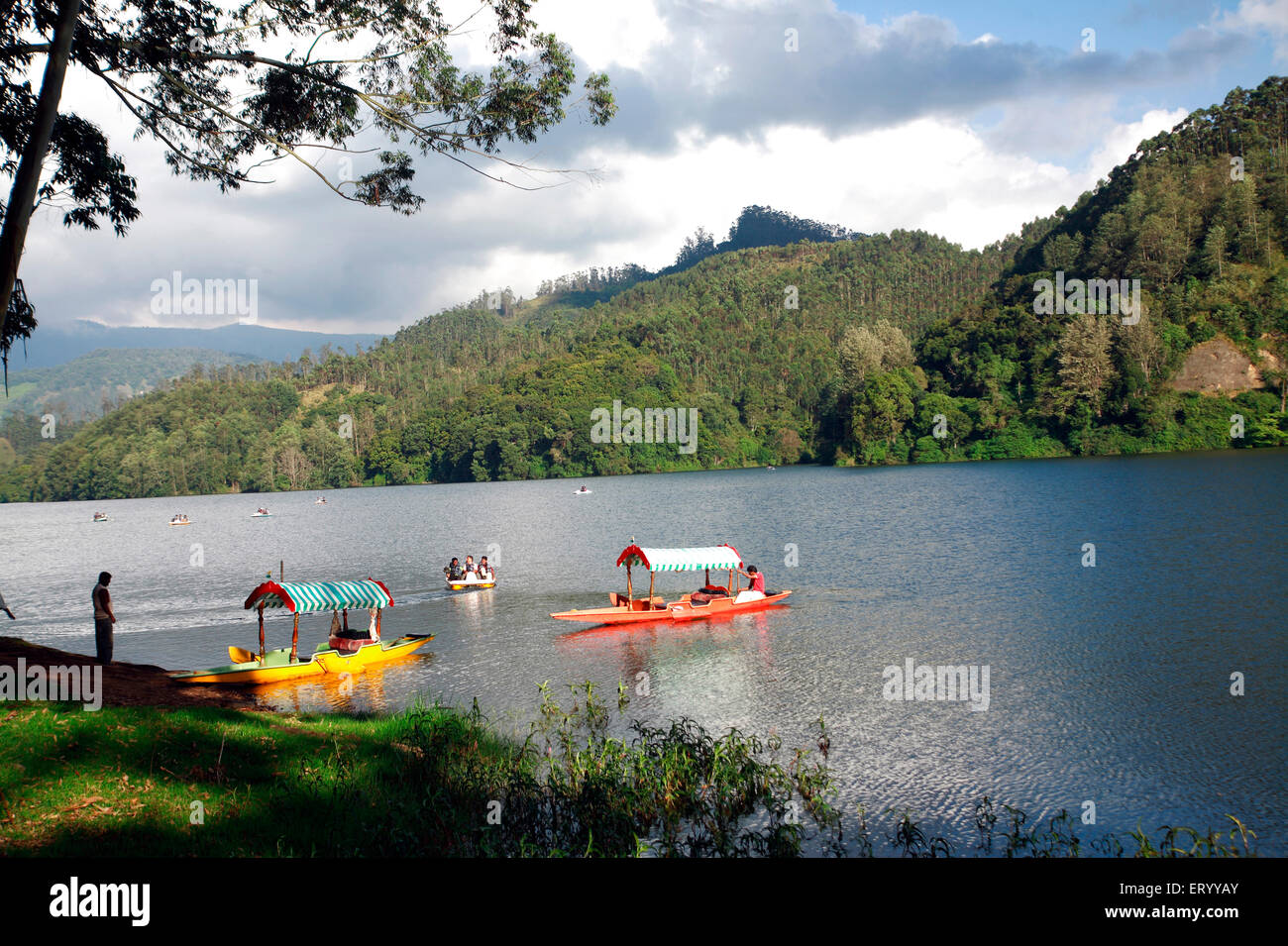 Bootfahren im See; Munnar; Kerala; Indien Stockfoto