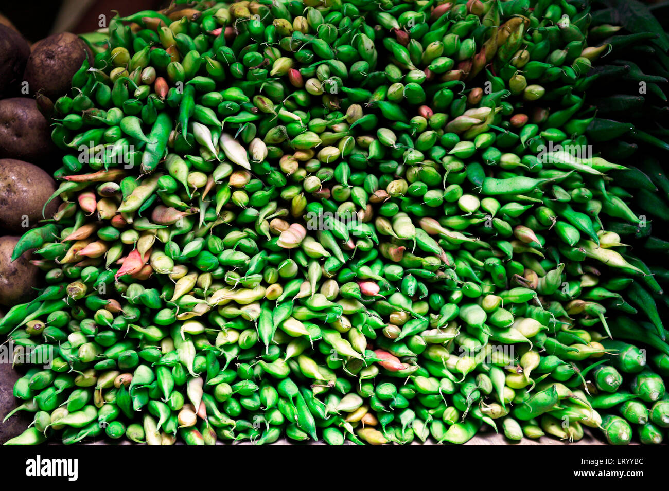 Französische Bohnen mit Gemüse, Munnar Gemüsemarkt, Munnar, Idukki, Kerala, Indien, Asien Stockfoto