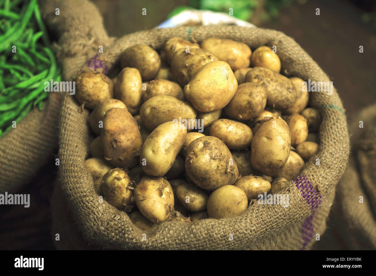 Kartoffeln im Jutesack, Gemüsemarkt Munnar; Kerala; Indien; Asien Stockfoto