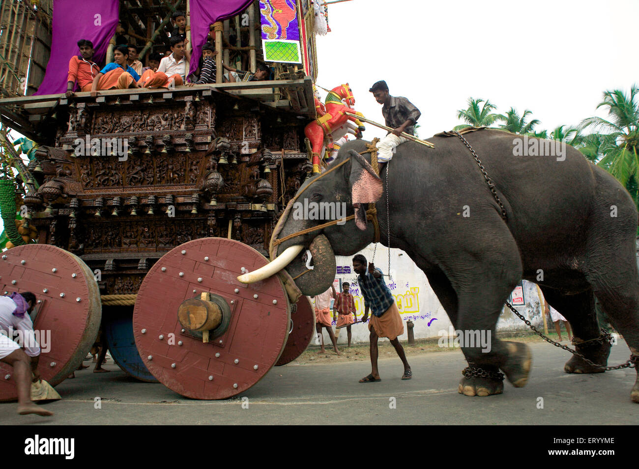 Elefant schiebt rath, Ratholsavam Chariot Festival; Palghat, Palakad, Palakkad, Kerala, Indien, Asien Stockfoto
