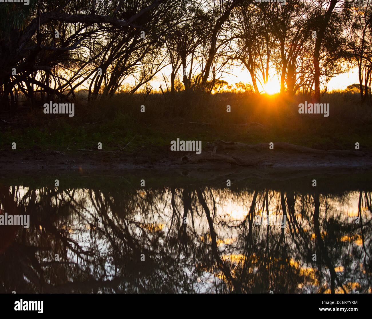 Sonnenuntergang Reflexionen von Bäumen gesäumten Bach im australischen Outback, in der Nähe von Longreach, Queensland. Stockfoto