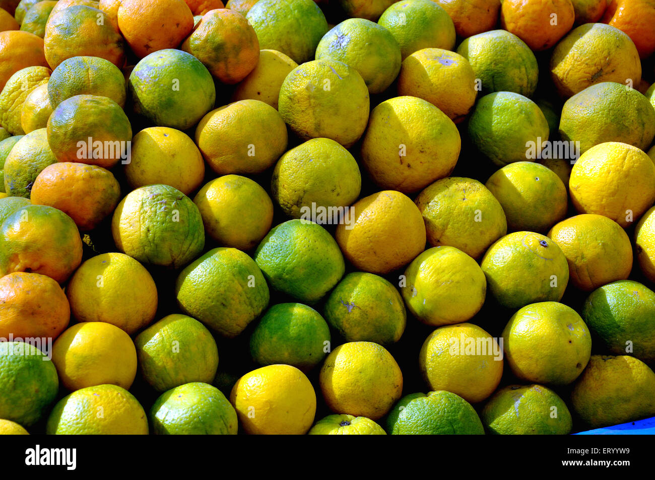Orangenfrucht zu verkaufen, Bihar, Indien, asien Stockfoto