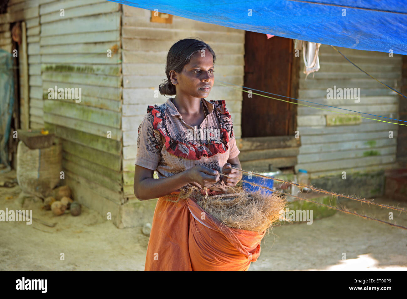 Keralite Frau macht Kokos Seil in Hütte; traditionelle Methode; Kerala; Indien nicht Herr Stockfoto