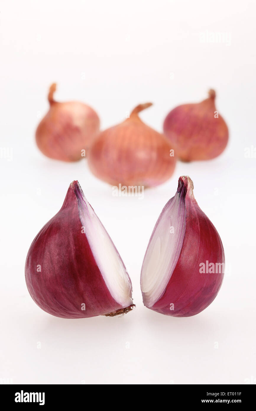 Zwiebeln lateinischen Allium Cepa als ein Gemüse und Salat; Indien Stockfoto