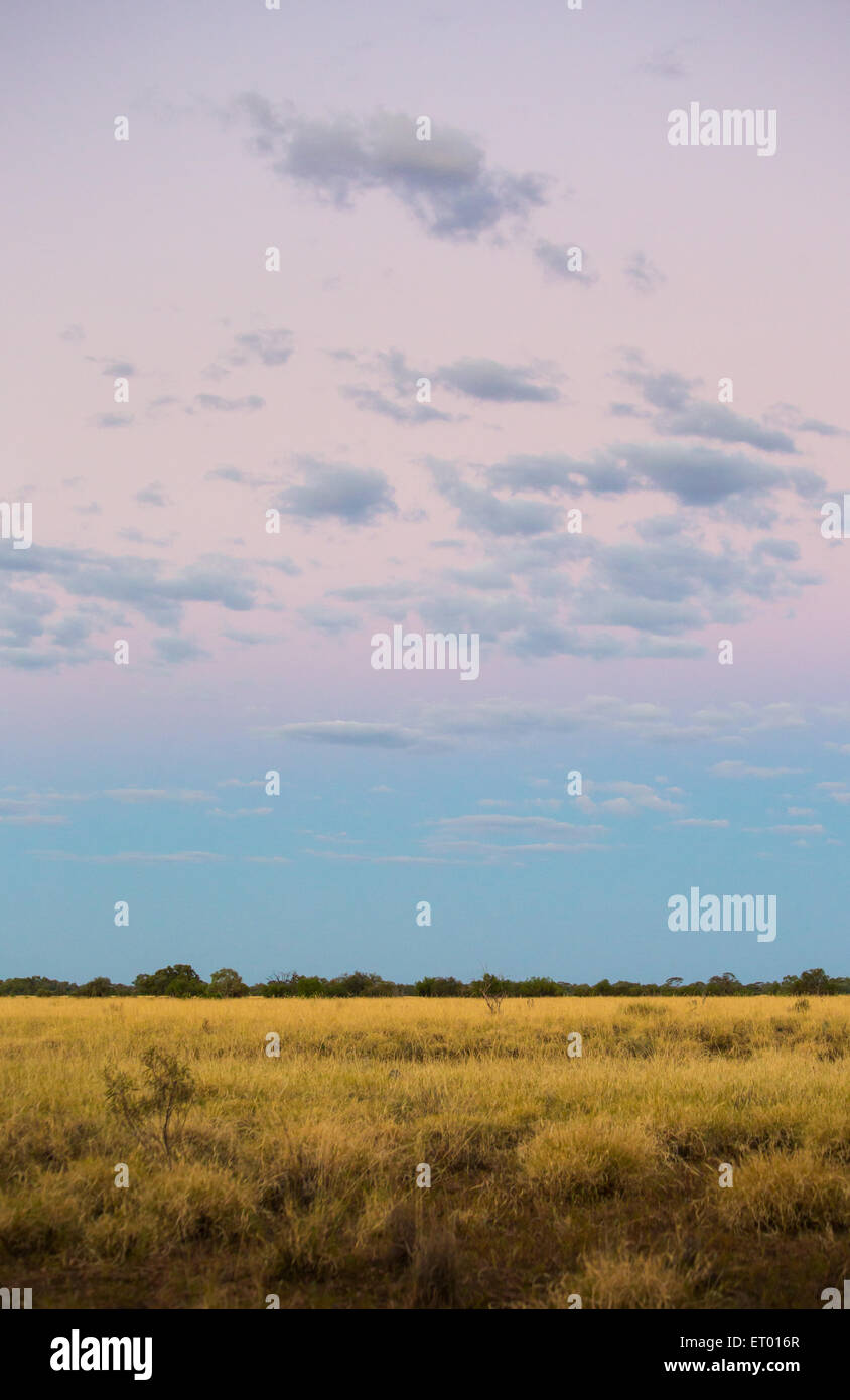 Offene Grasflächen in der Abenddämmerung in der australischen Outback, in der Nähe von Longreach, Queensland. Stockfoto
