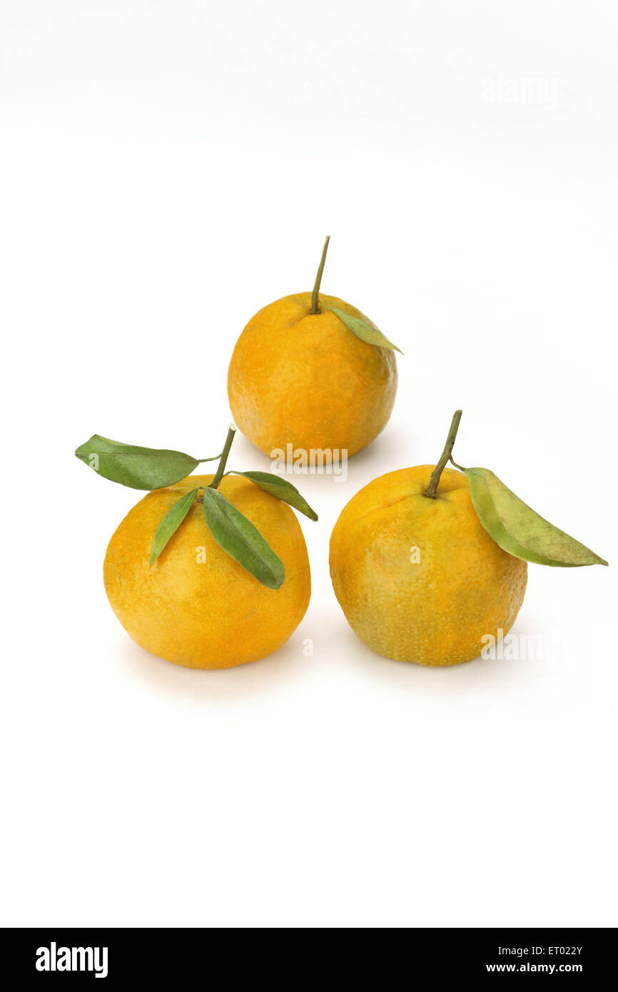 Orange Frucht auf weißem Hintergrund Stockfoto