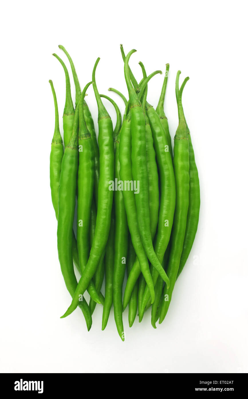 Grüne Chili auf weißem Hintergrund Stockfoto