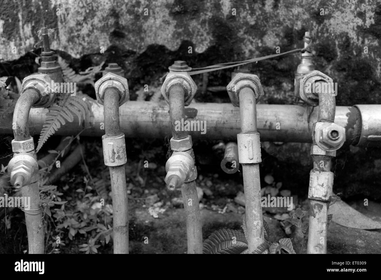 Wasserrohre mit Gelenken, Darjeeling, Westbengalen Indien, 2011 Stockfoto