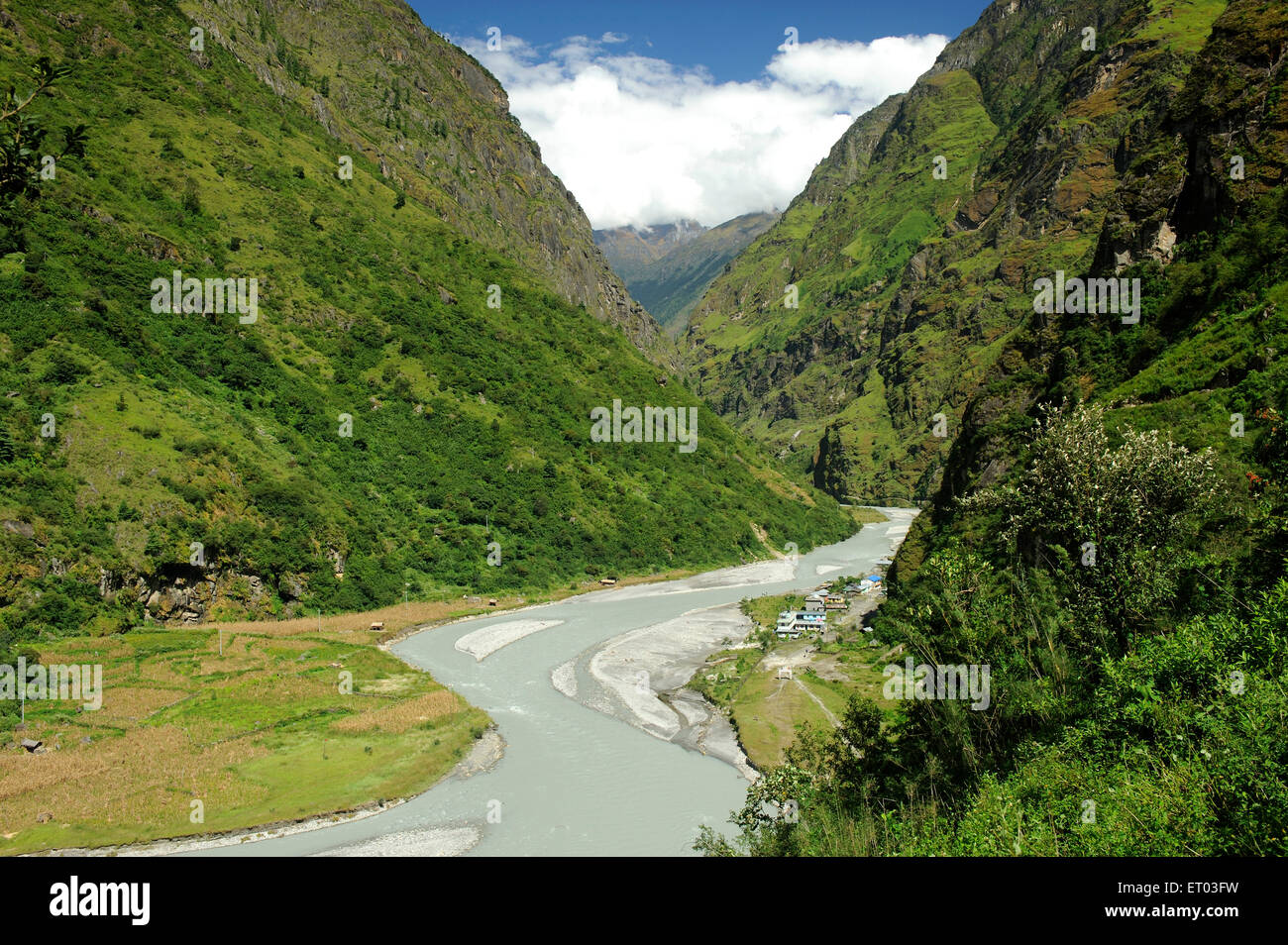 Fluss Marsyangdi , Tal , Dharapani , Gandaki , Nepal , Föderale Demokratische Republik Nepal , Südasien , Asien Stockfoto