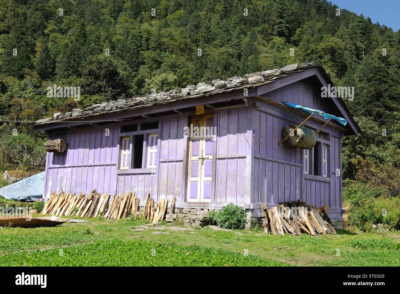 Dorfhaus , Thanchowk , Annapurna Circuit Trek , Nepal , Federal Democratic Republic of Nepal , Südasien , Asien Stockfoto
