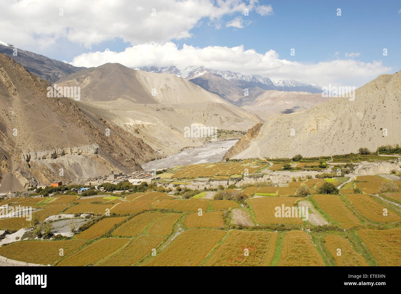 Landschaft , Kagbeni , Tashi Kang , Nepal , Föderale Demokratische Republik Nepal , Südasien , Asien Stockfoto