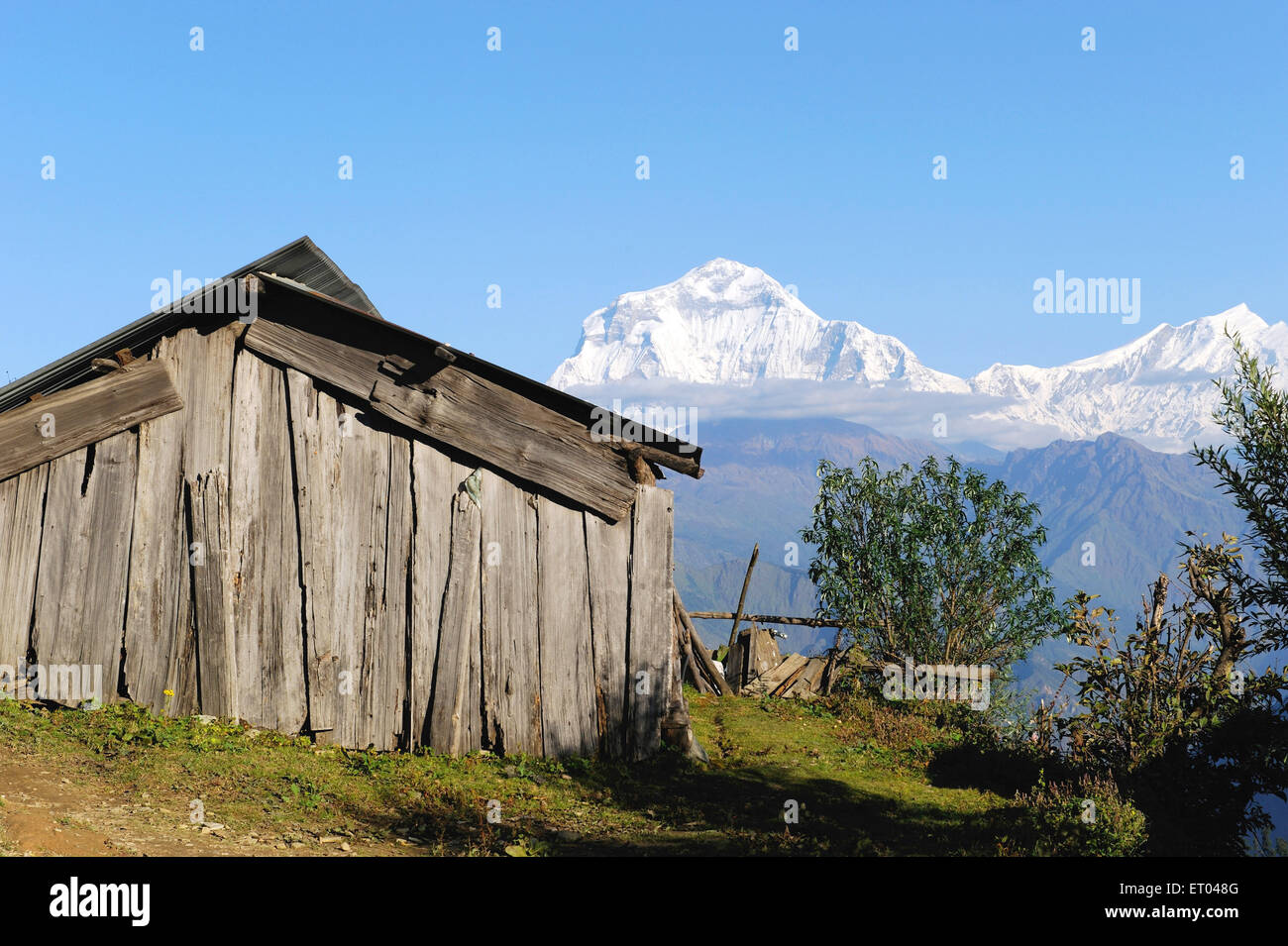 Holzhütte am Dhaulagiri Tukche Poon Hill Gipfeln; Ghoripani; Nepal Stockfoto
