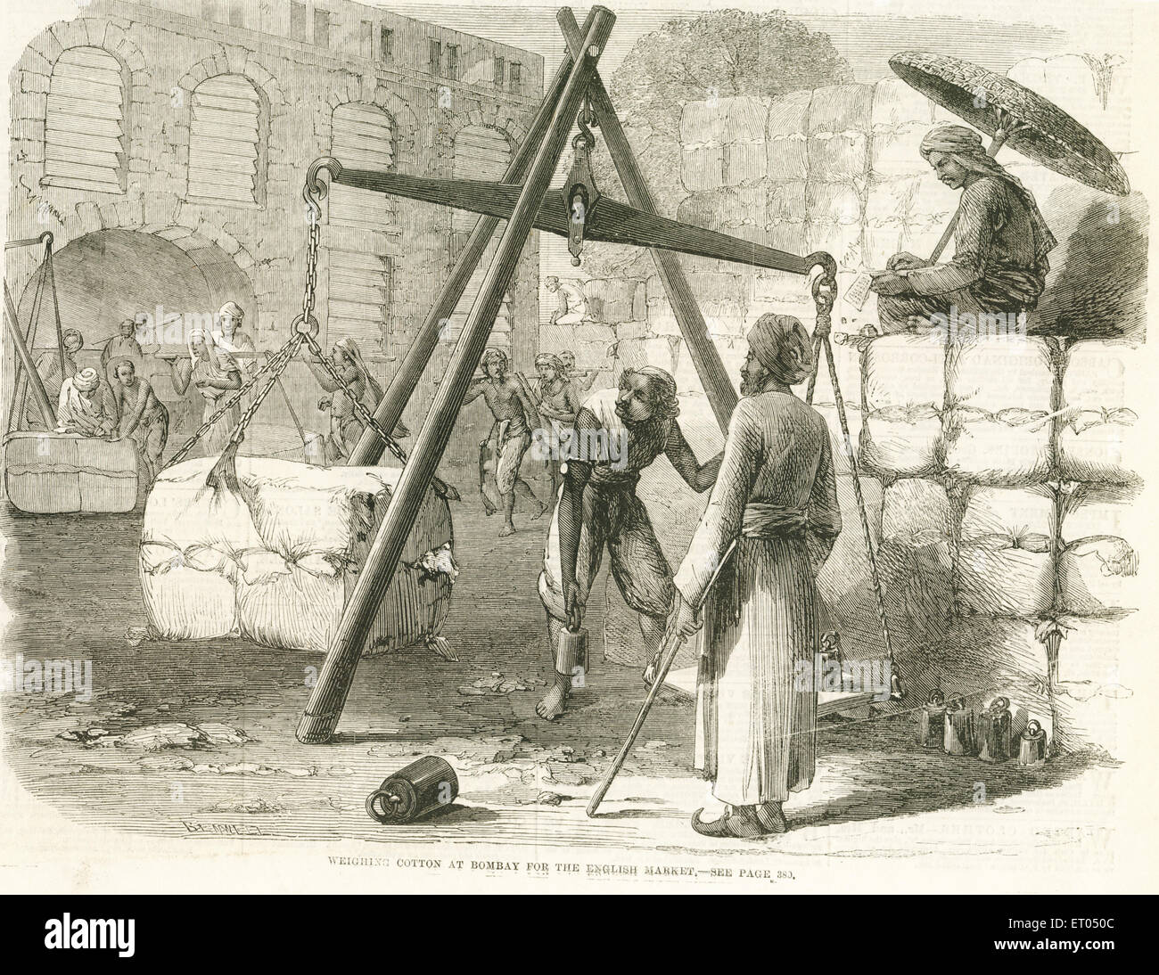Wiegen von Baumwolle für den Export für den englischen Markt; Bombay; Mumbai; Maharashtra; Indien; Asien ; alter Jahrgang 1800s Gravur Stockfoto
