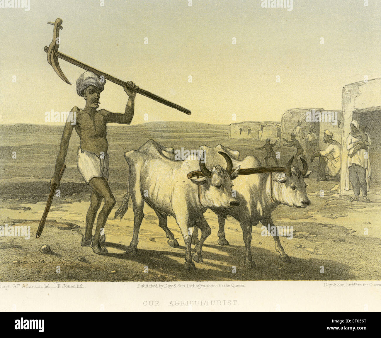 Farmer mit Bullock; koloniale indische Bilder; Farmer Indien; unser Landwirt; Indien; Asien; asiatisch; indisch; Bild des alten Jahrgangs der 1900er Jahre Stockfoto