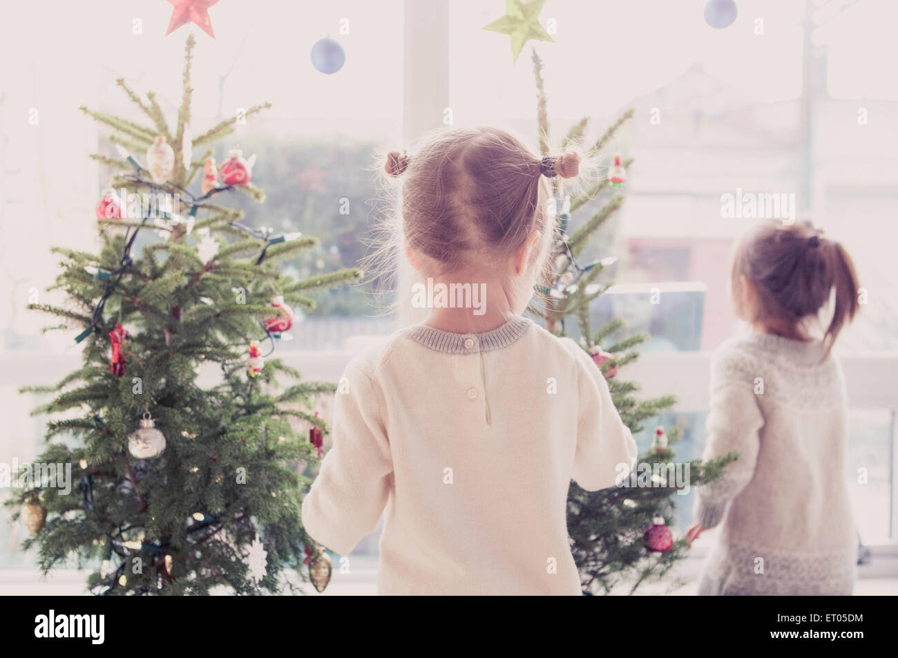 Mädchen schmücken kleine Weihnachtsbäume Stockfoto