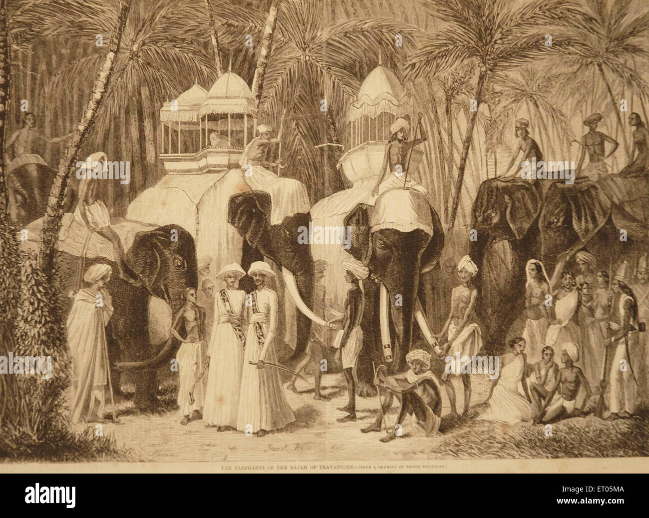 Elefanten von Rajah, König von Travancore, Königreich Travancore, Königreich Thiruvithamkoor, Indien, alte 1800er-Gravur Stockfoto