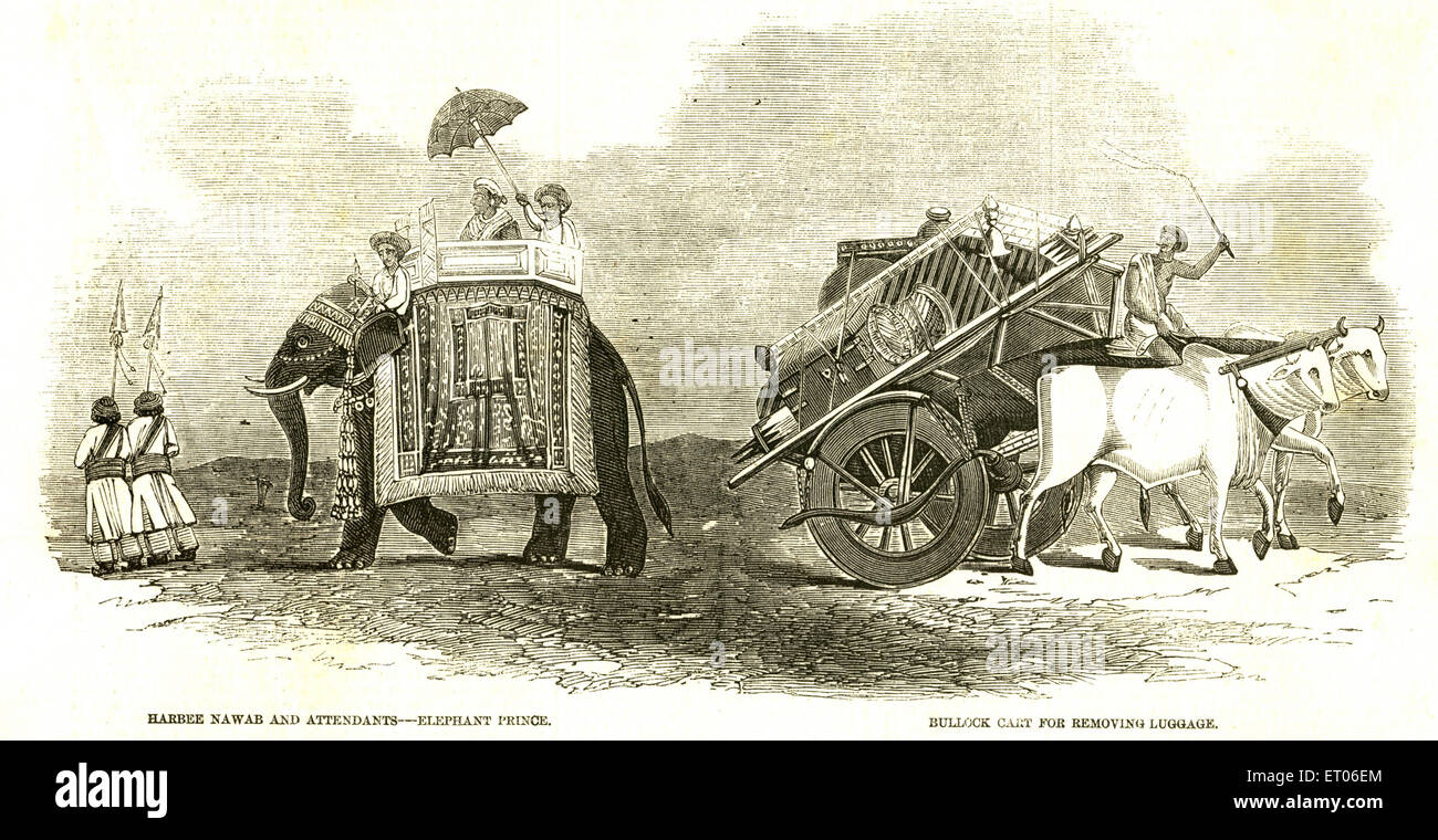 Elefant und Ochsenwagen, Indien, alter Jahrgang 1800er Stockfoto
