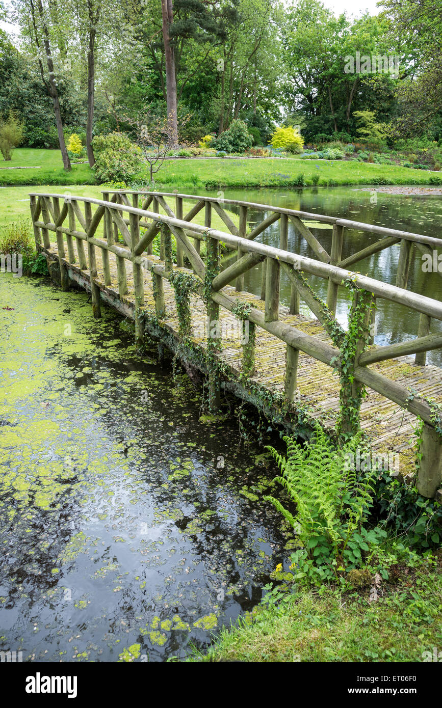 Rustikale Brücke in den Gärten des Cholmondeley Castle in Cheshire. Stockfoto