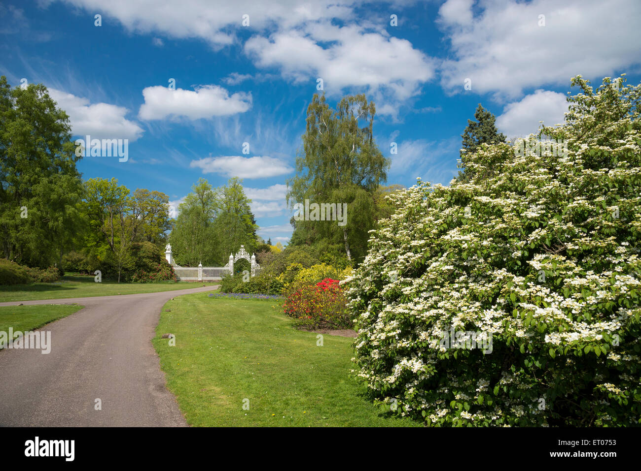 Zufahrt zum weißen Bildschirm Tore am Schlossgarten Cholmondeley, Cheshire, England. Stockfoto