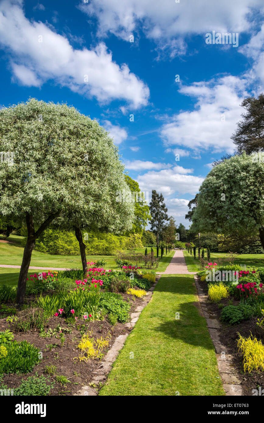 Cholmondeley Castle Gardens, Cheshire, England an einem sonnigen Frühlingstag. Stockfoto