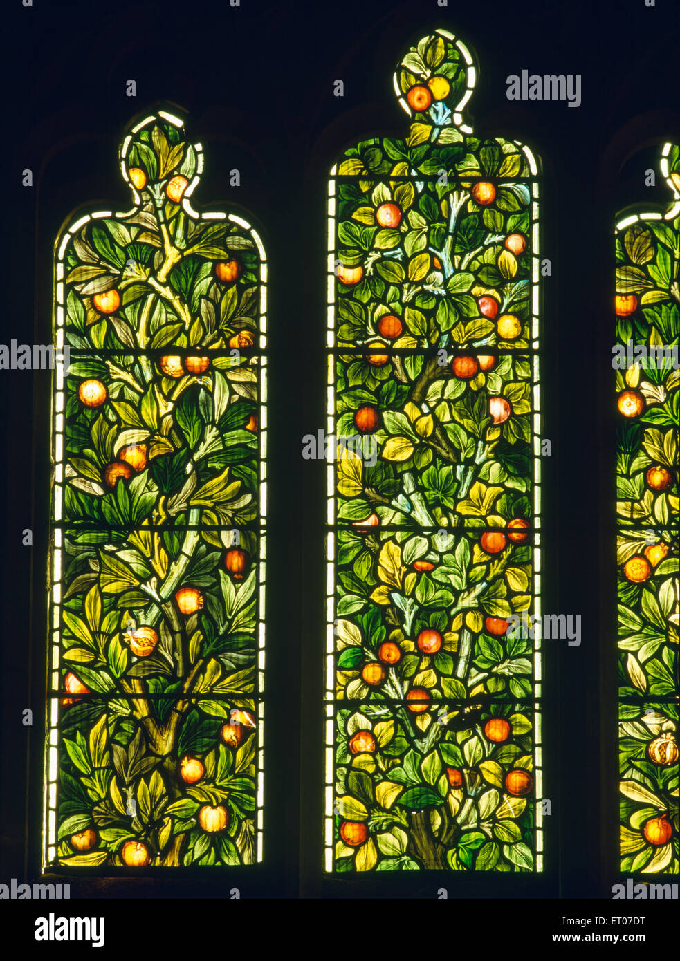 Glasmalerei Granatapfel "Baum des Lebens" von Morris & Co. in E Fenster von Stanley Gedenkkapelle St. Cybi Kirche, Holyhead, Anglesey. Stockfoto
