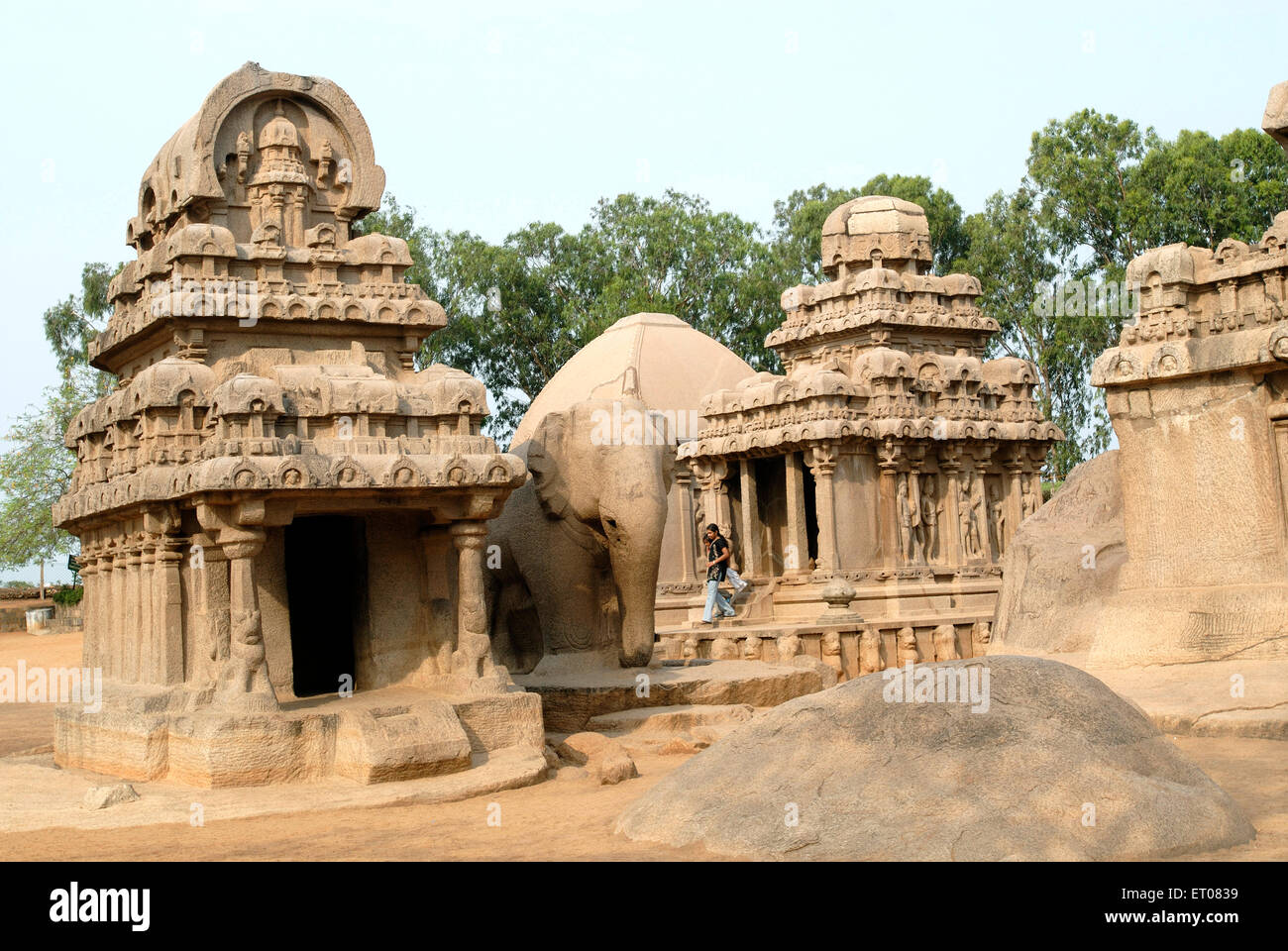 Fünf Rathas Pancha Rathas Tempel im 7. Jahrhundert gegründet; Mahabalipuram Mamallapuram; Tamil Nadu; Indien Stockfoto