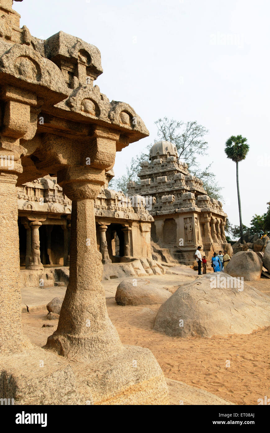 Fünf Rathas Pancha Rathas Tempel im 7. Jahrhundert gegründet; Mahabalipuram Mamallapuram; Tamil Nadu; Indien Stockfoto