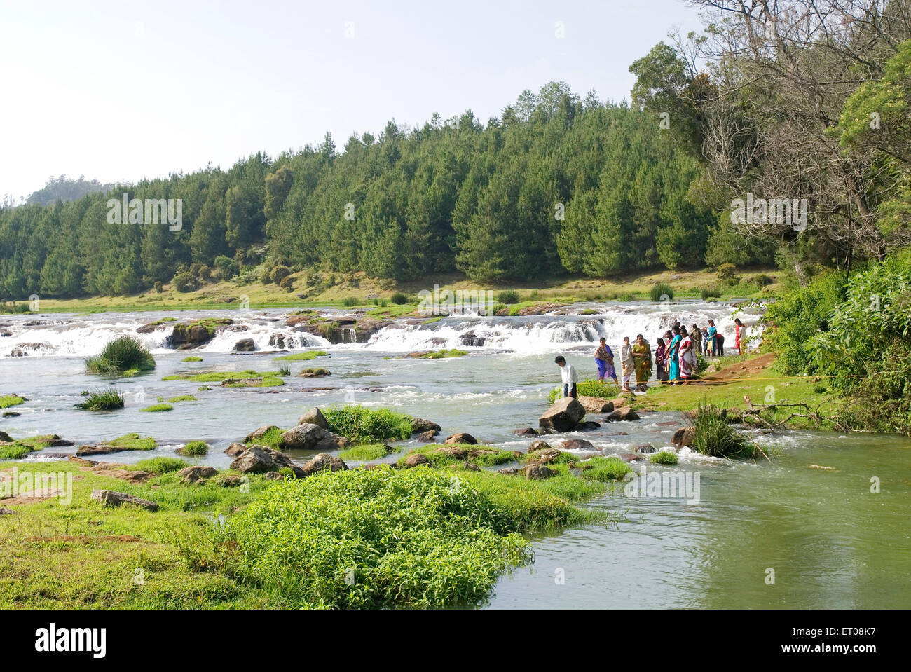 Pykara Fluss; Nilgiris Bezirk; Tamil Nadu; Indien Stockfoto