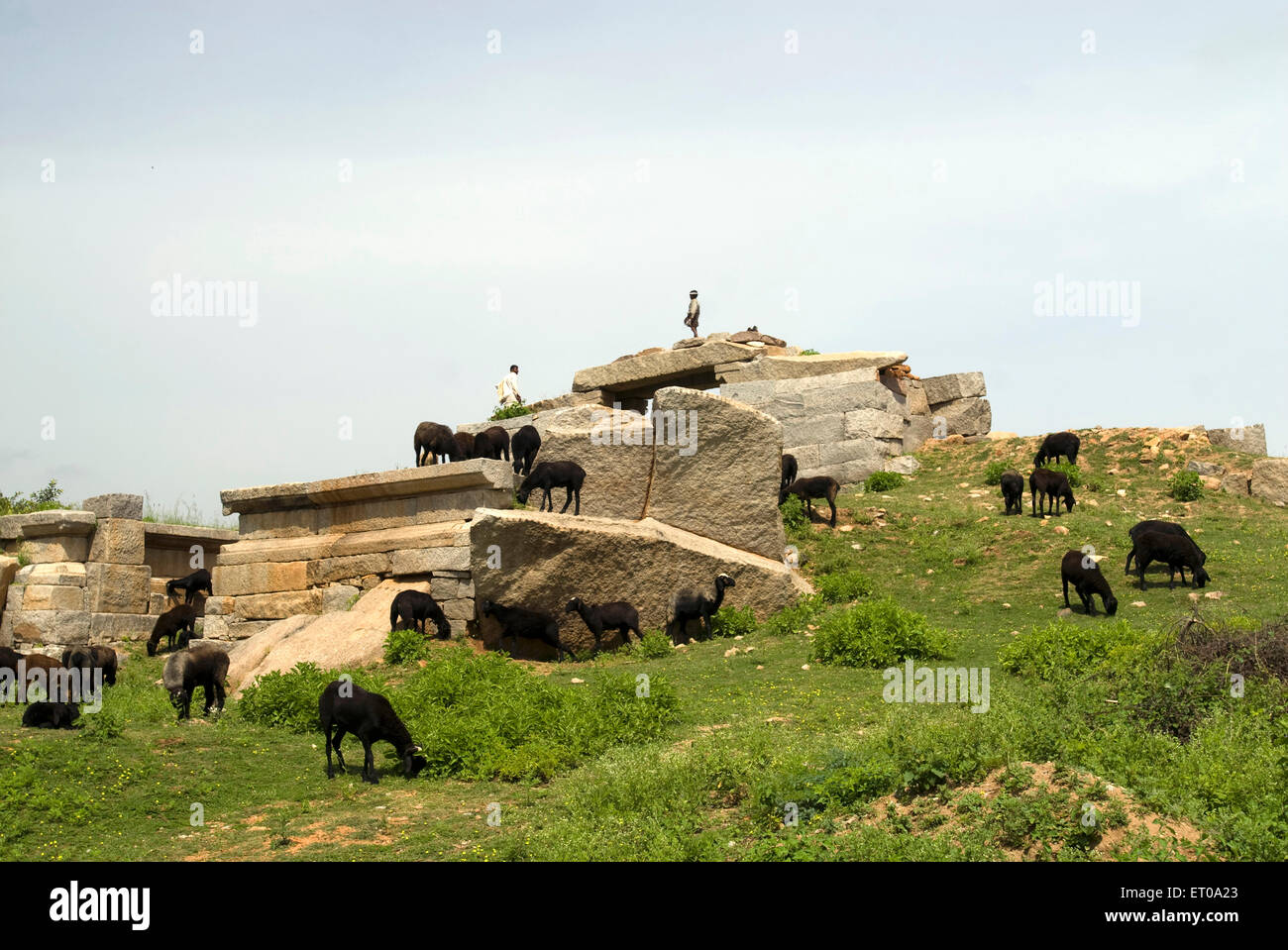 Ruinen in Hampi; Karnataka; Indien Stockfoto