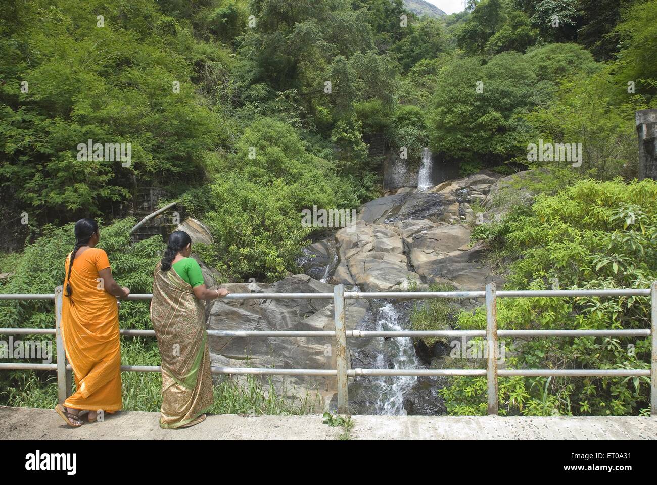 Wasserfälle bei Cepha in der Nähe von Madumalai; Nilgiris; Tamil Nadu; Indien Stockfoto