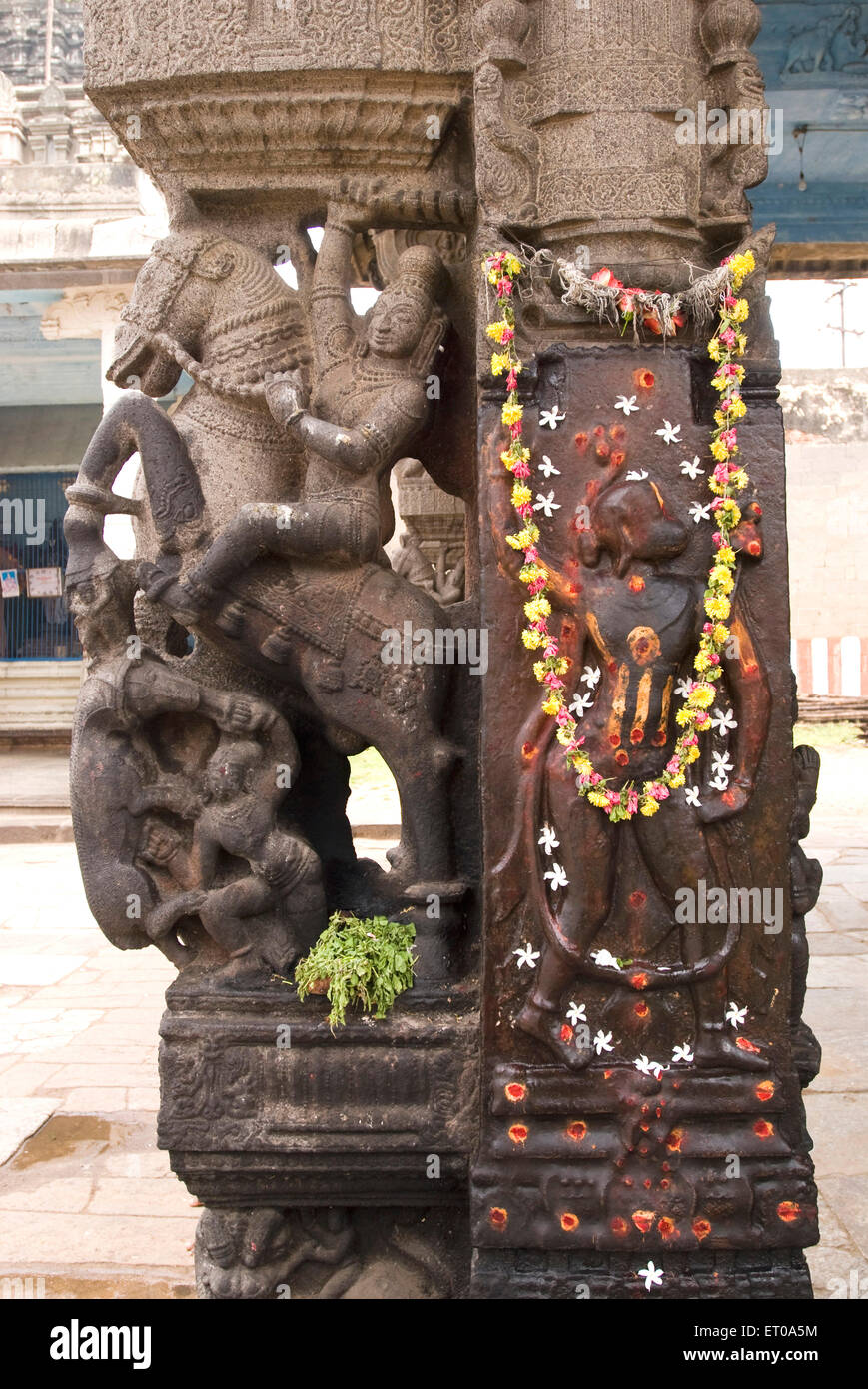 Hanuman und Pferd Mann;  Varadaraja Perumal Vishnu Tempel in Kanchipuram; Tamil Nadu; Indien Stockfoto